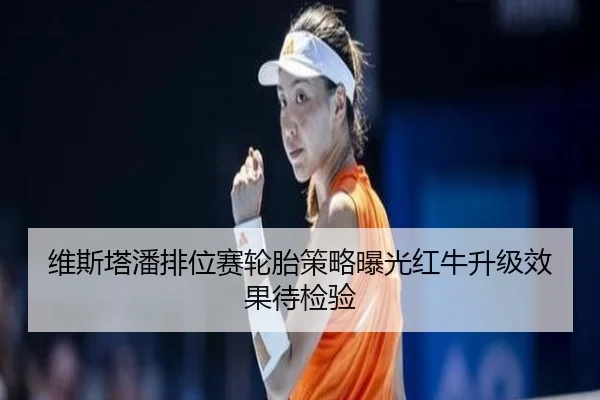维斯塔潘排位赛轮胎策略曝光红牛升级效果待检验